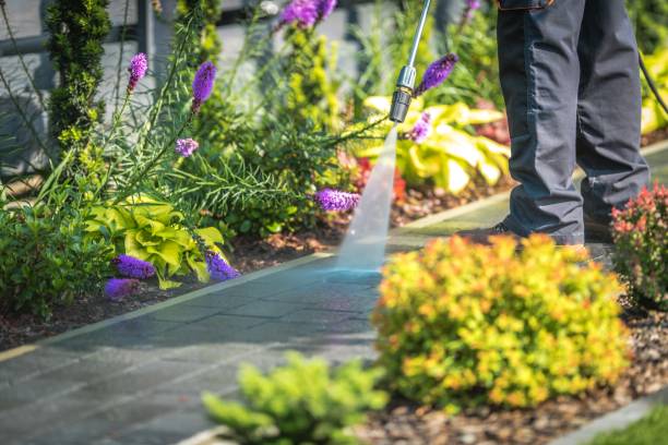 Best Restaurant Pressure Washing  in Cloquet, MN